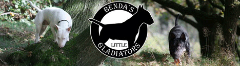 www.bendas-little-gladiators.de